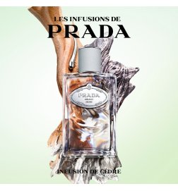Zedern-Infusion - Eau de Parfum